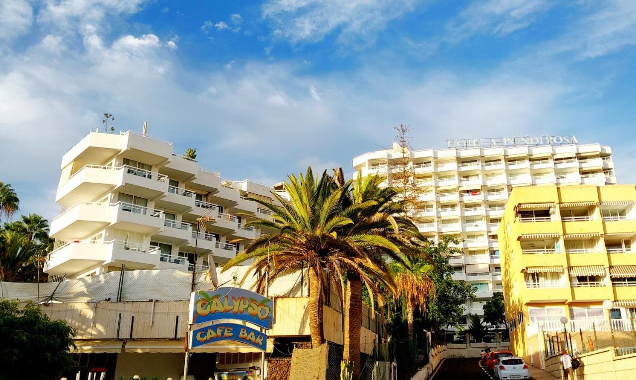 Under The Palm Playa de las Americas (Tenerife) Exterior foto